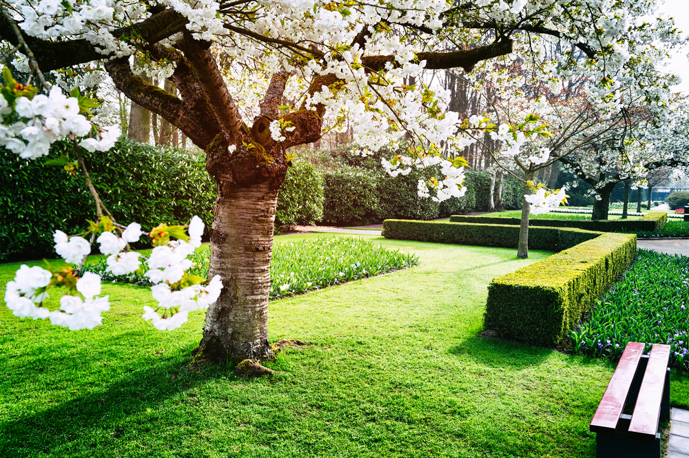 Gestalteter Garten mit Naturstein und Pflanzen